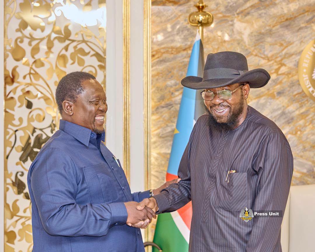 he President of the Republic His Excellency Salva Kiir Mayardit has received a detailed briefing from Vice President and Chairperson for Service Clust