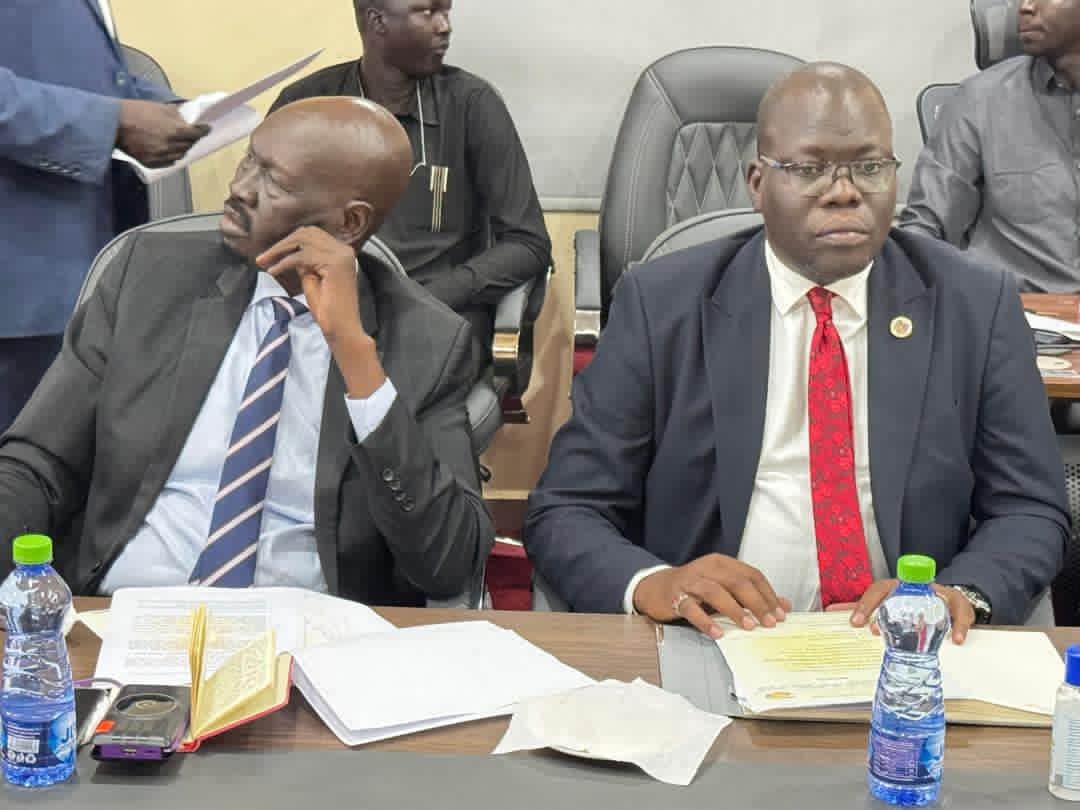 ECONOMIC REFORM COMMITTEE DISCUSSES IMPLEMENTATION MECHANISMS FOR DECISION ON NIMULE MISSION